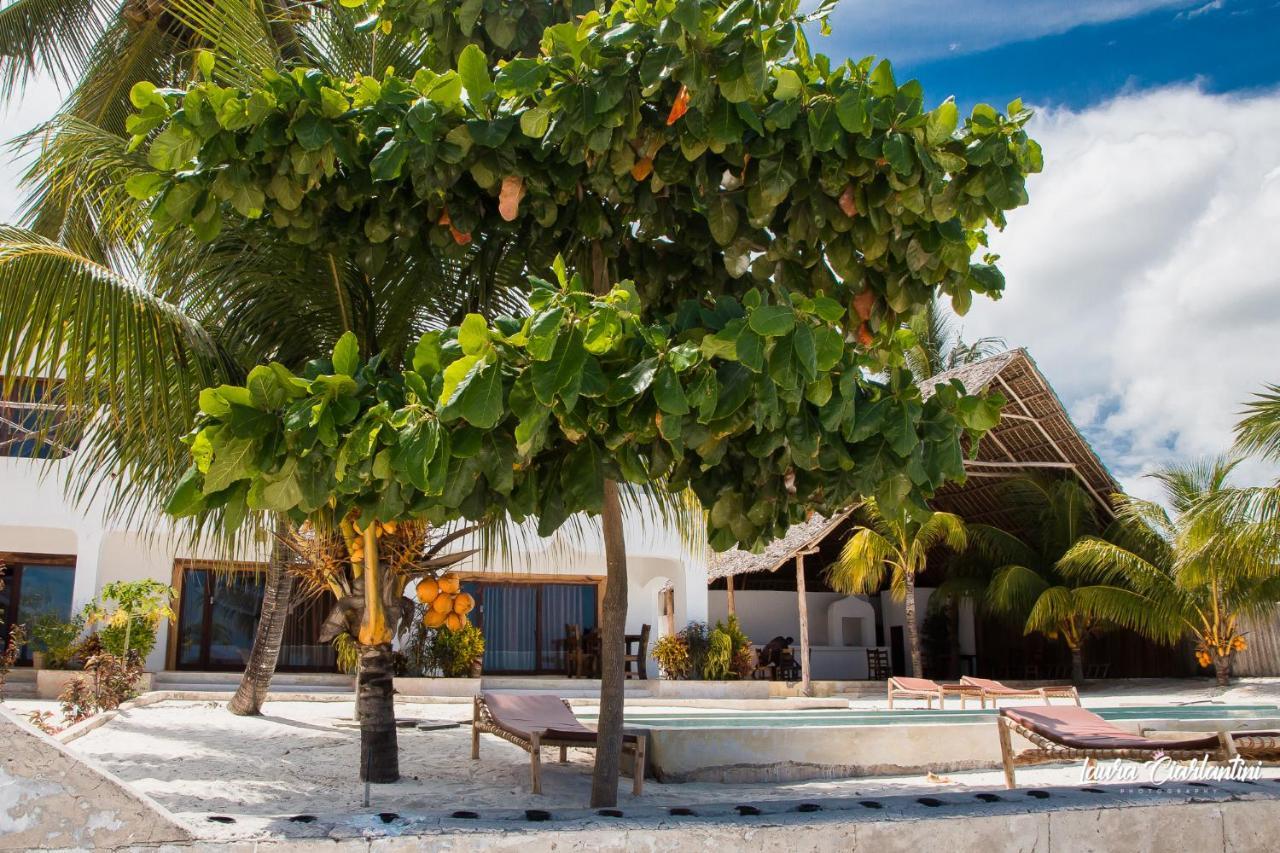 Uroa Zanzibar Vera Beach Hotel By Moonshine Dikoni Exterior foto